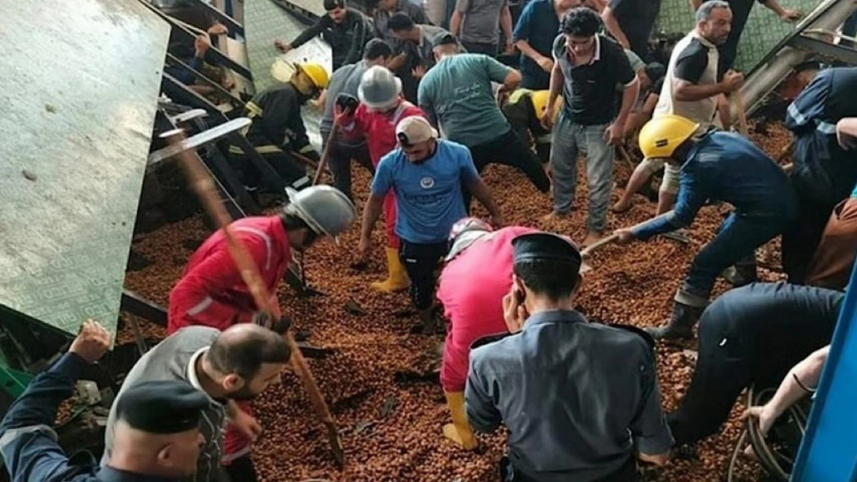 8de57a02-b501-4f93-8a3b-fc39896f5864.jpg 8de57a02-b501-4f93-8a3b-fc39896f5864.jpg