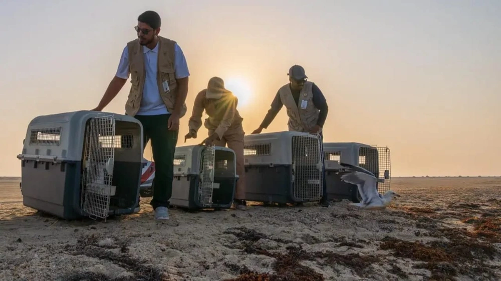 945ed655-813f-4a12-9f6b-69277e563542.jpg 945ed655-813f-4a12-9f6b-69277e563542.jpg