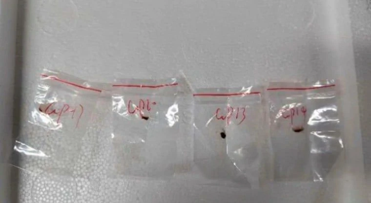 961fa4a7-8976-4615-bd22-44362b11c908.jpg 961fa4a7-8976-4615-bd22-44362b11c908.jpg