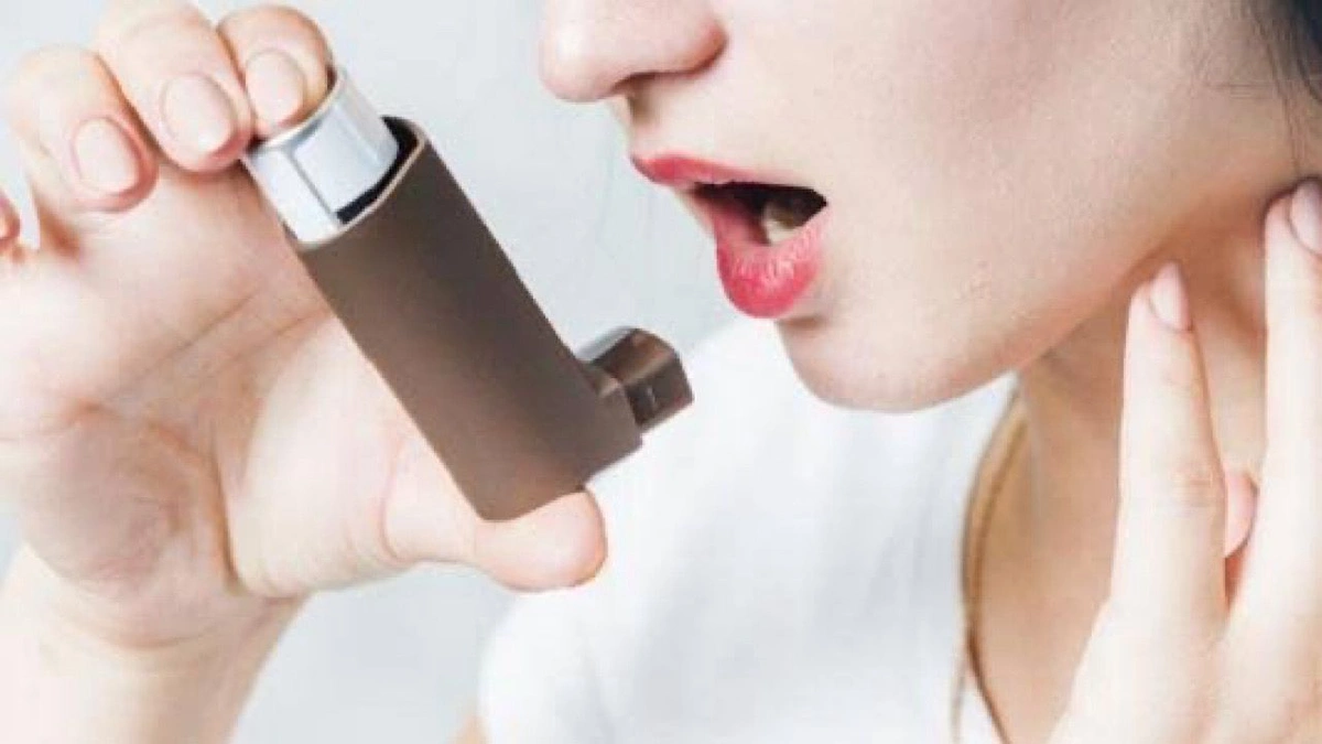 975eae01-efb4-484a-9df7-7b9d55ca9f10.jpg 975eae01-efb4-484a-9df7-7b9d55ca9f10.jpg