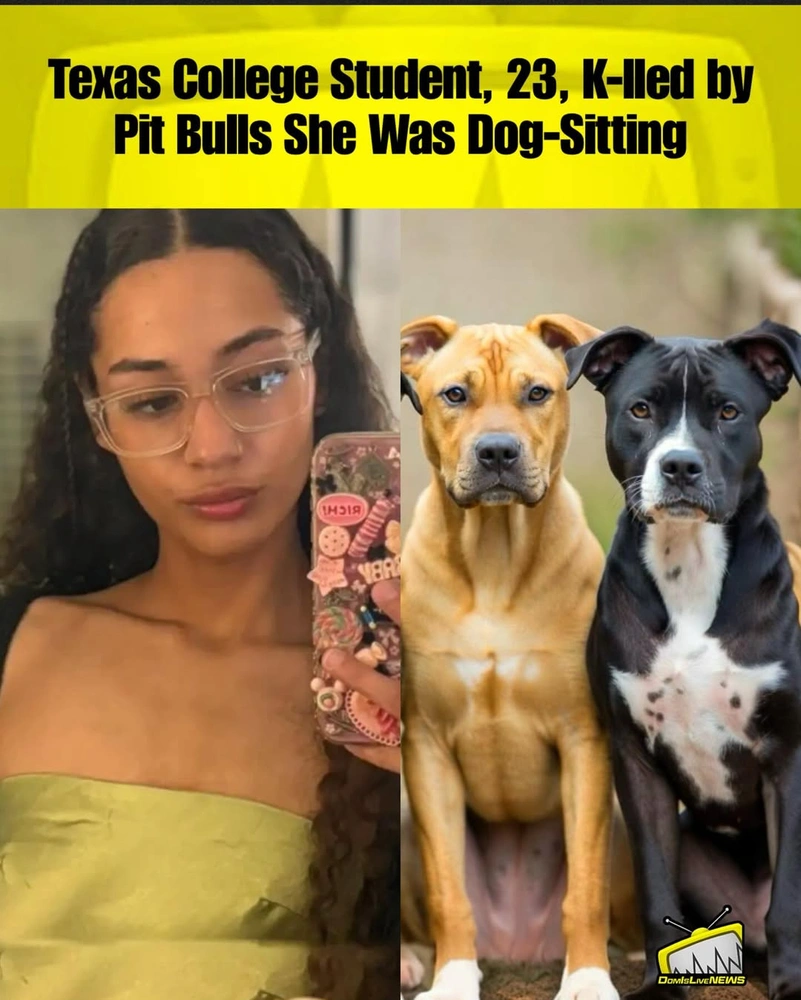 A Texas college student was mauled to death while pet-sitting three pit bulls, who her grieving .jpg