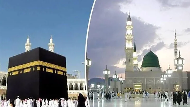 مممد