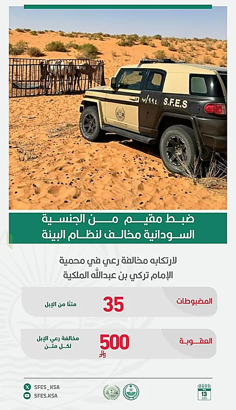 ، نظام البيئة