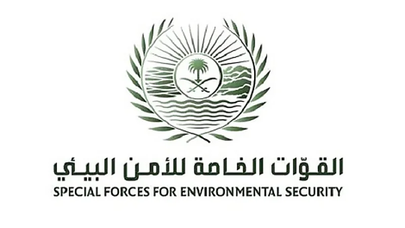 ببببببببب