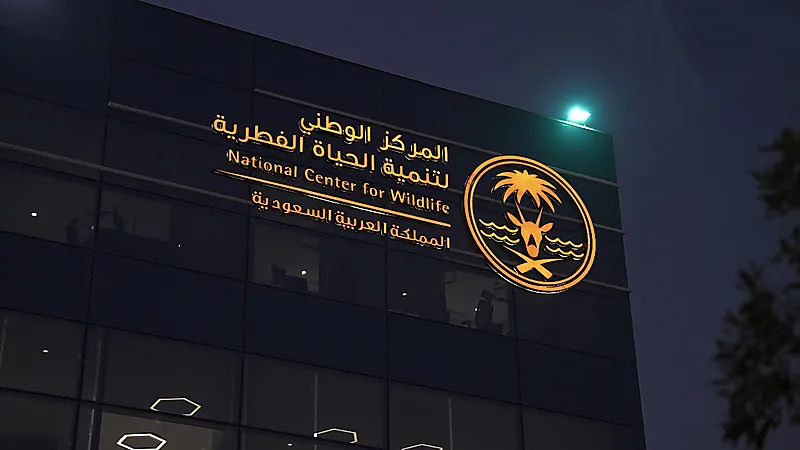وظائف شاغرة،