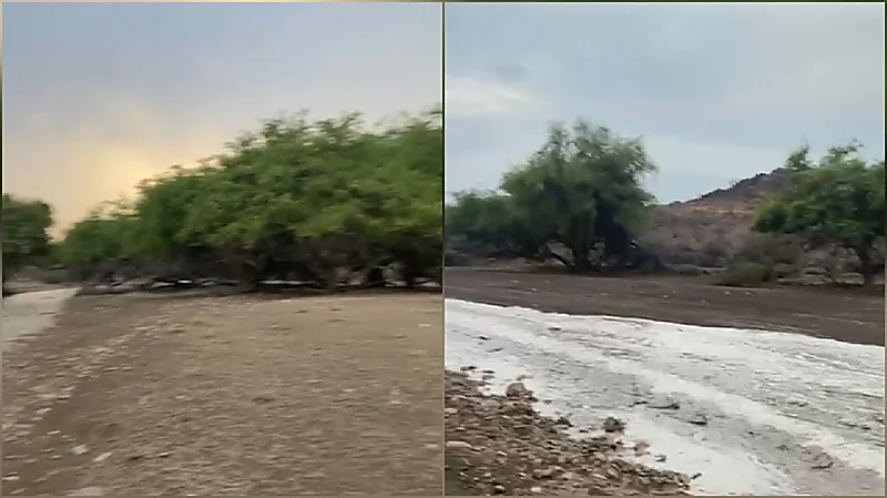 ، الأودية،