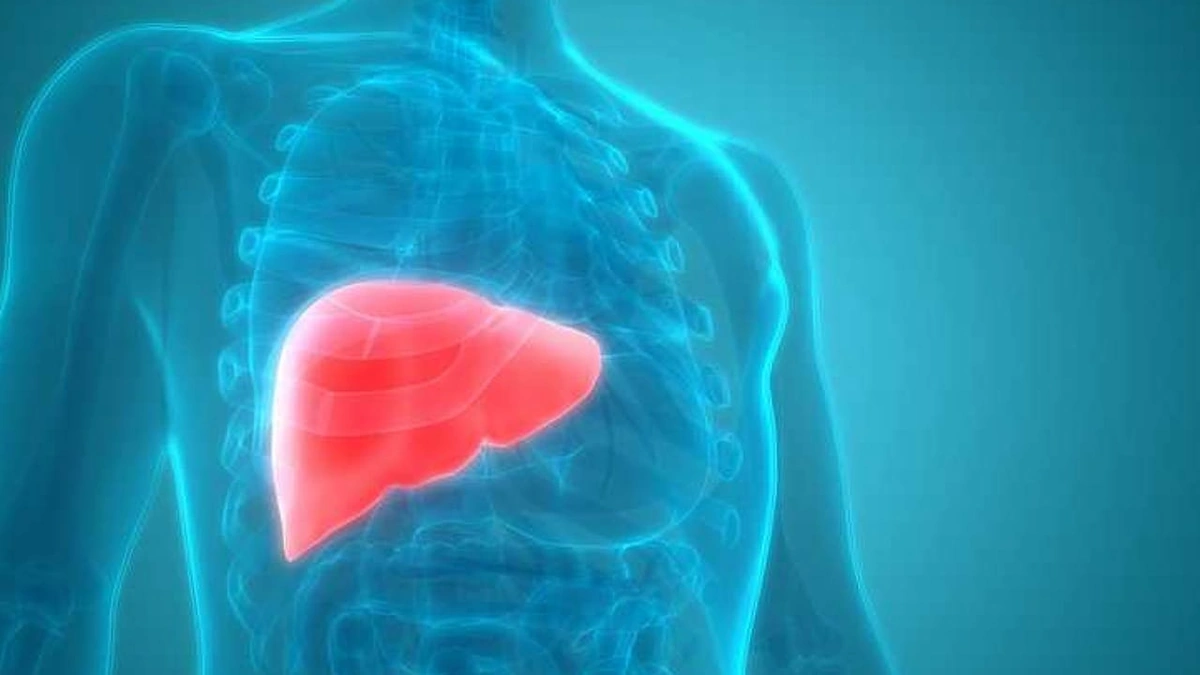 WhatsApp Image 2025-10-04 at 11.00.57 PM.jpeg