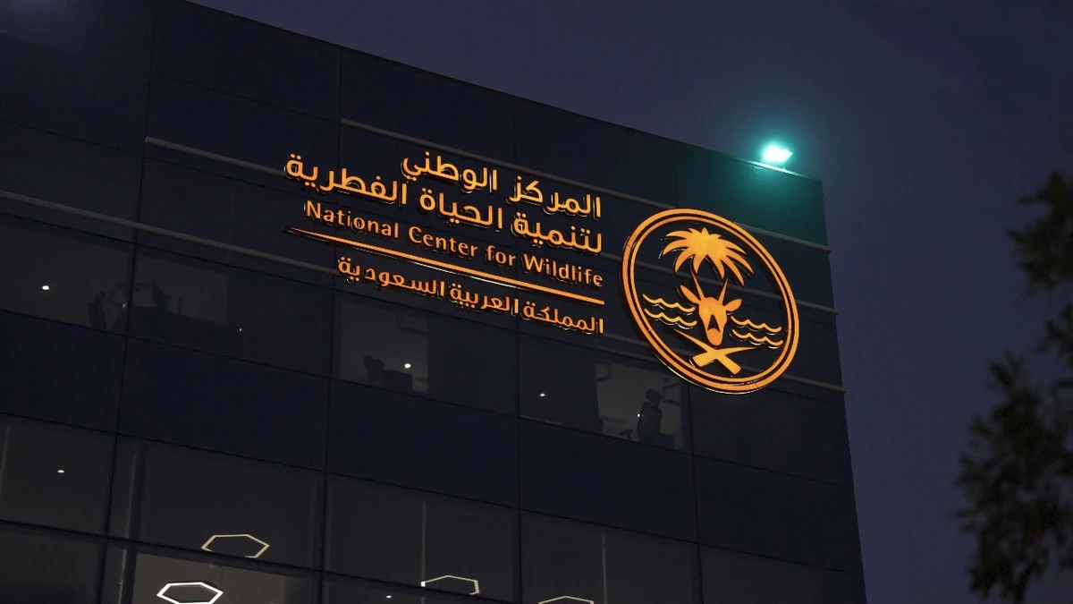 ححححححححححححححح