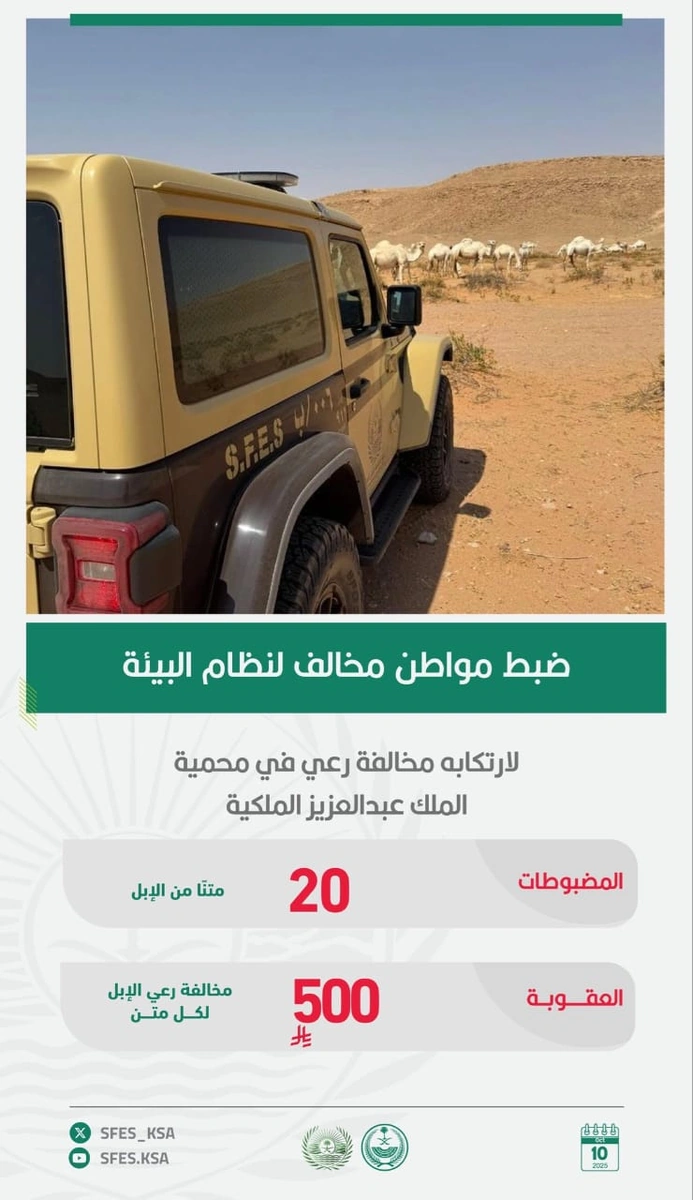 سسسسسسسسس