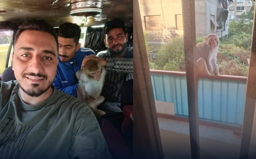 WhatsApp Image 2025-10-14 at 4.35.17 PM.jpeg