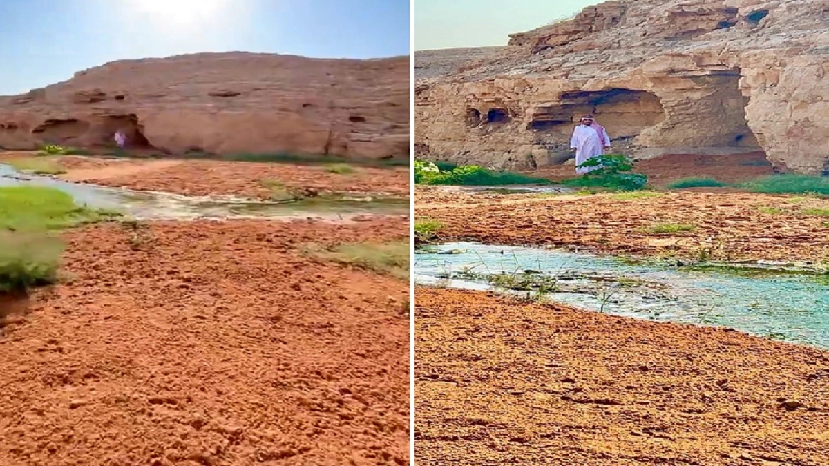 ، الطائف