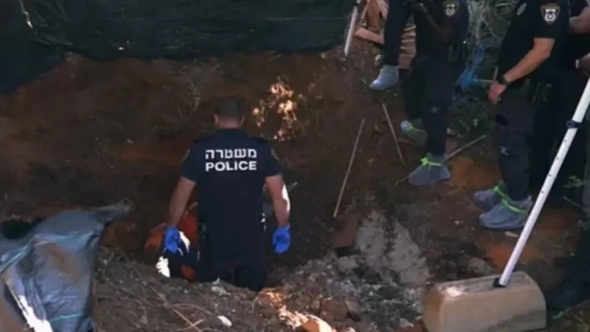 WhatsApp Image 2025-10-21 at 4.56.58 PM.jpeg WhatsApp Image 2025-10-21 at 4.56.58 PM.jpeg