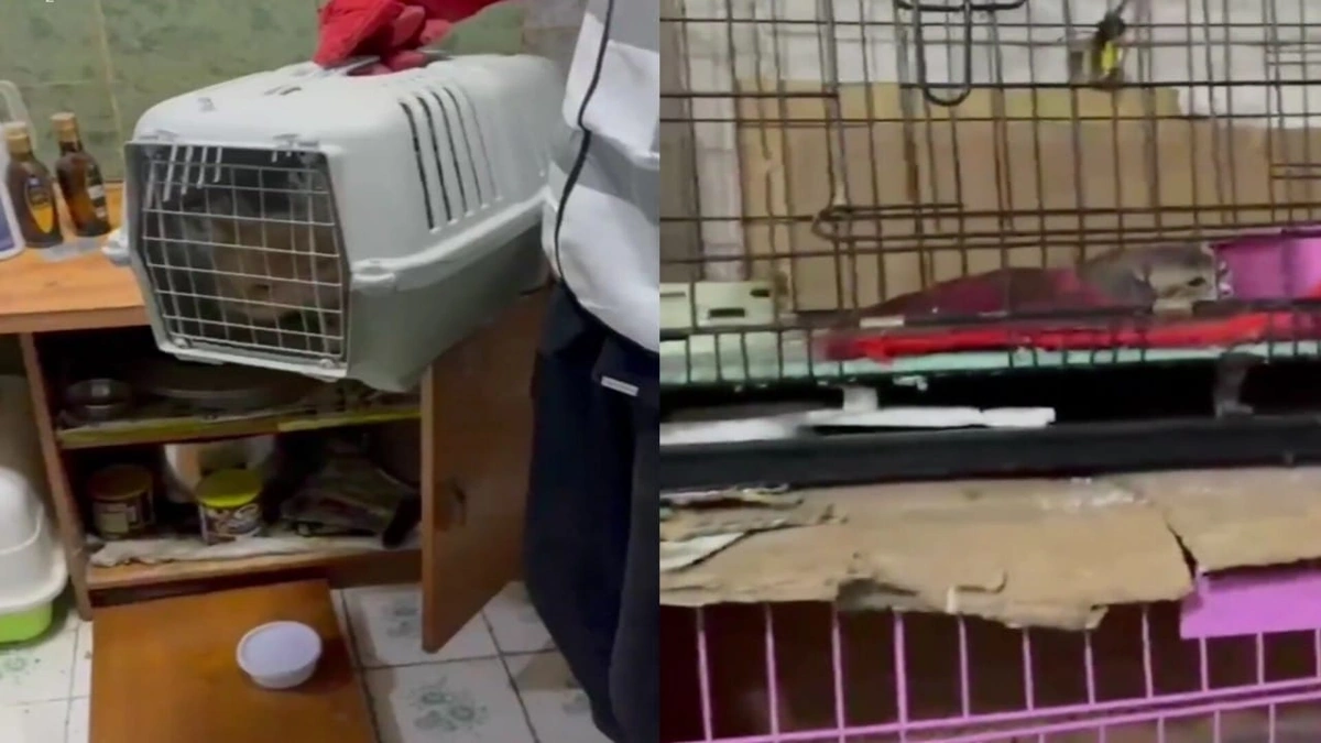 جمعية رحمة للرفق بالحيوان