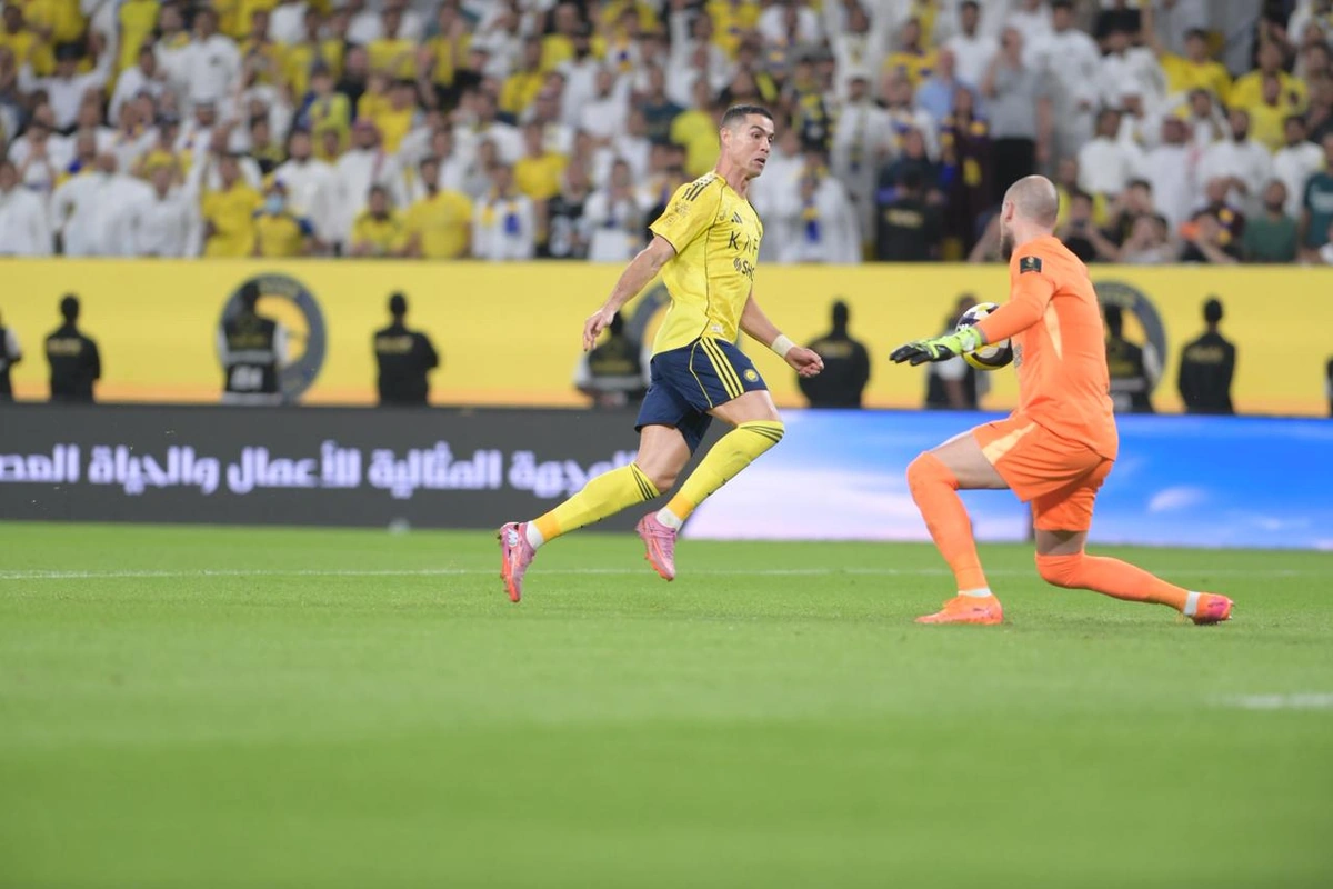 WhatsApp Image 2025-10-28 at 23.13.31.jpeg WhatsApp Image 2025-10-28 at 23.13.31.jpeg