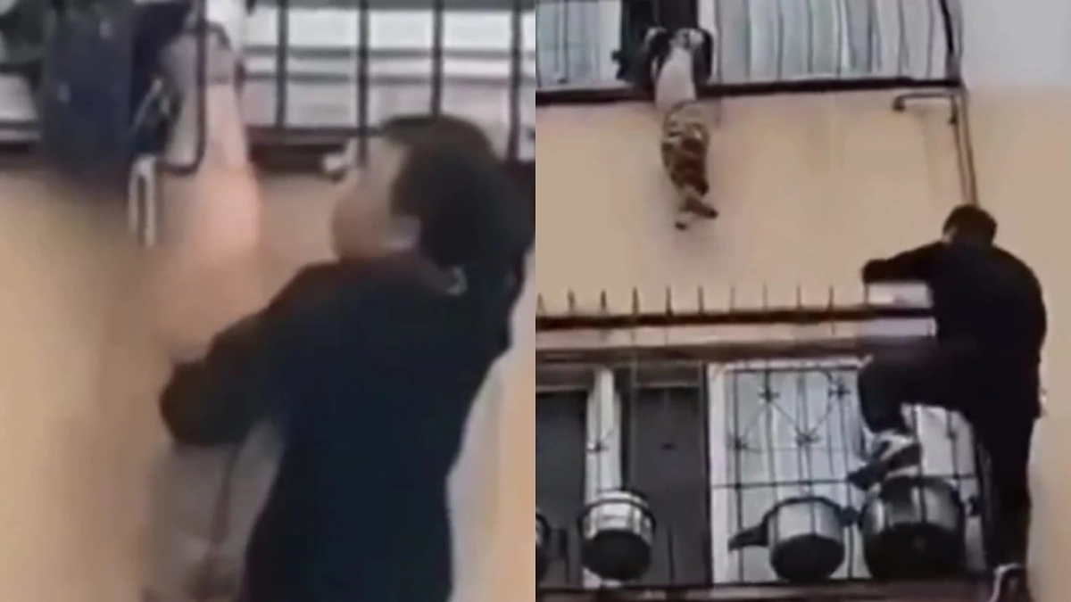 WhatsApp Image 2025-10-29 at 10.50.12 PM.jpeg WhatsApp Image 2025-10-29 at 10.50.12 PM.jpeg