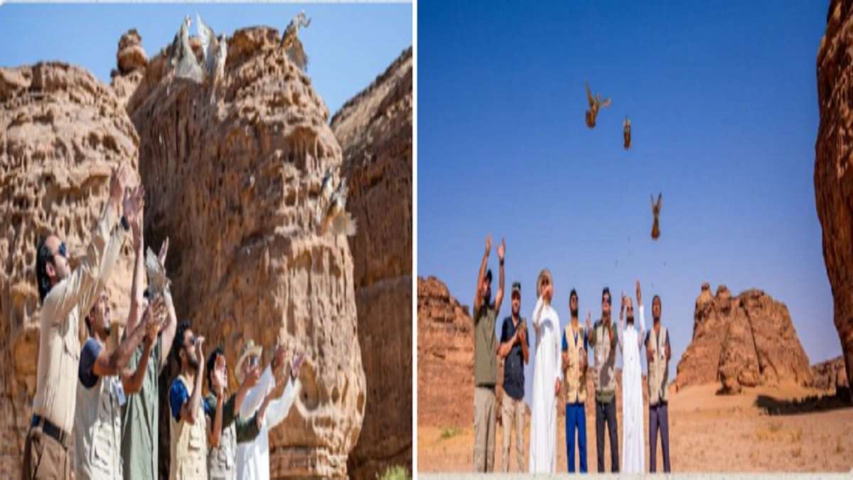 ممممممممم ممممممممم