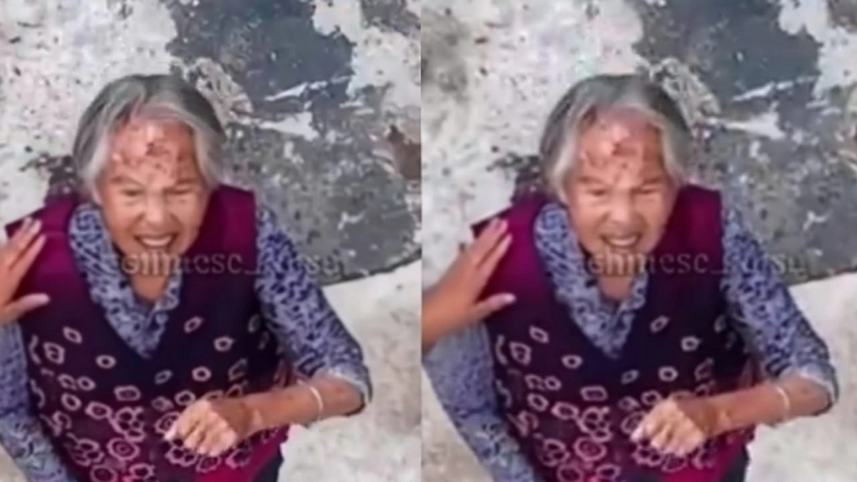 WhatsApp Image 2025-10-29 at 9.35.09 PM.jpeg WhatsApp Image 2025-10-29 at 9.35.09 PM.jpeg