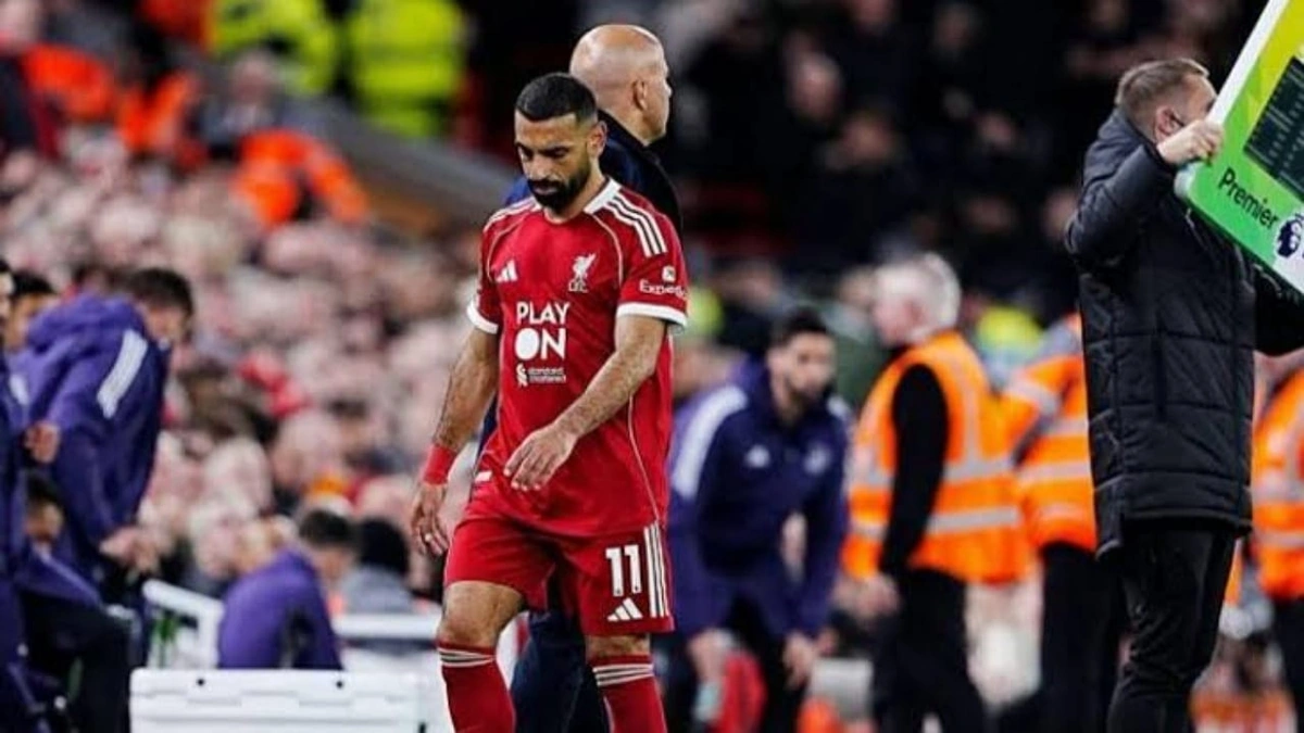 WhatsApp Image 2025-10-30 at 12.55.30 AM.jpeg WhatsApp Image 2025-10-30 at 12.55.30 AM.jpeg