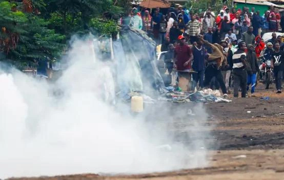 ،رئيسة تنزانيا ،رئيسة تنزانيا