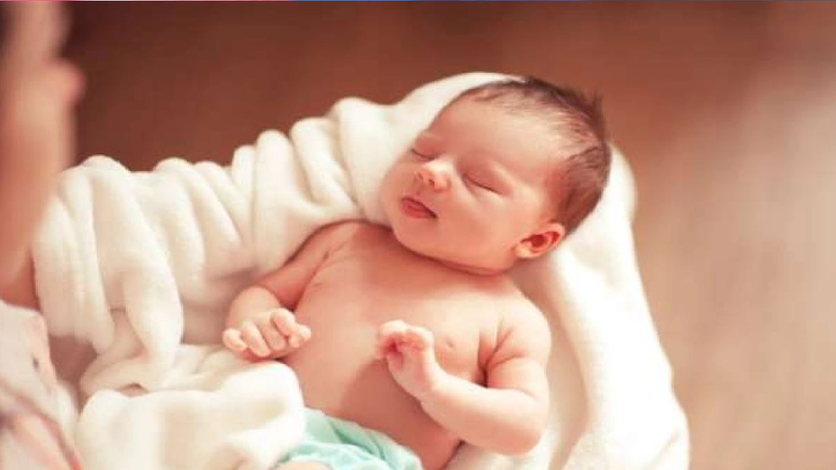 WhatsApp Image 2025-11-02 at 10.50.39 PM.jpeg