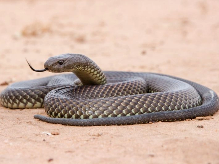 WhatsApp Image 2025-11-03 at 1.57.54 PM.jpeg