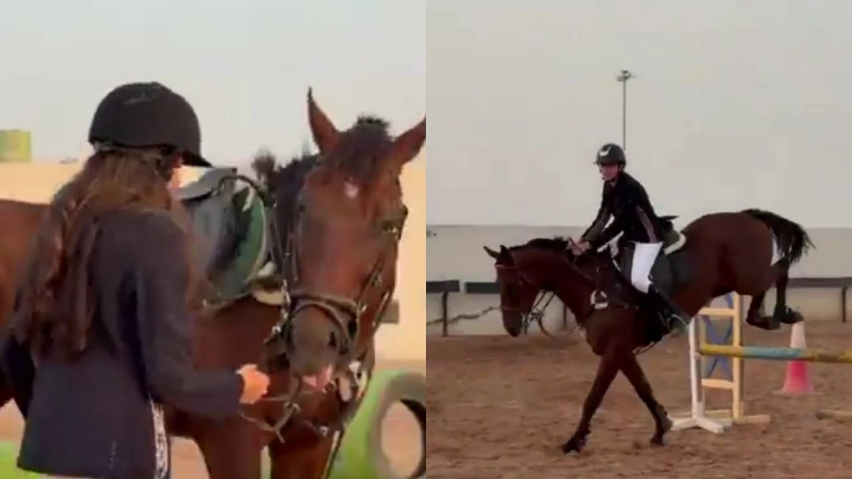 WhatsApp Image 2025-11-03 at 2.47.41 AM.jpeg