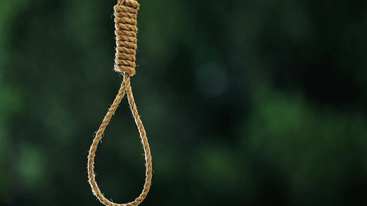 جرائم جرائم