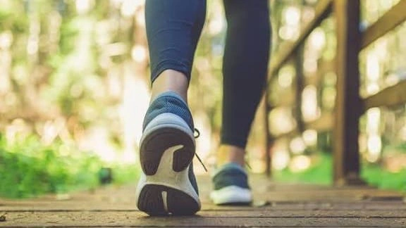 WhatsApp Image 2025-11-04 at 9.26.22 PM.jpeg WhatsApp Image 2025-11-04 at 9.26.22 PM.jpeg