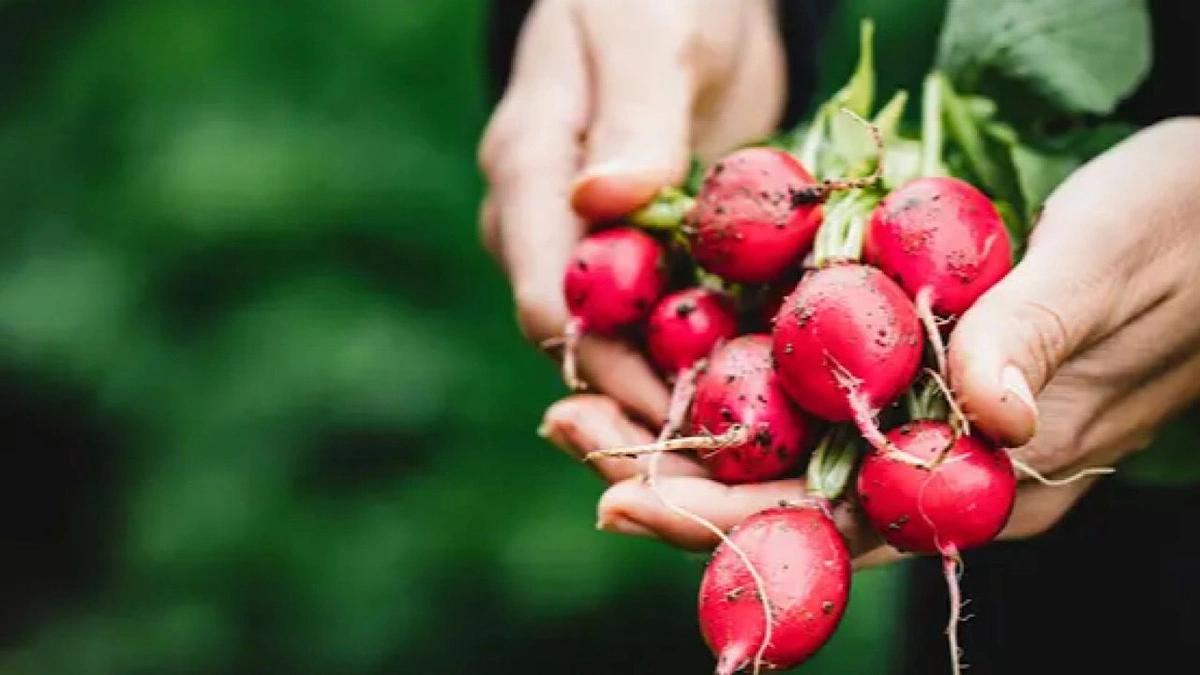 البوليفينولات البوليفينولات