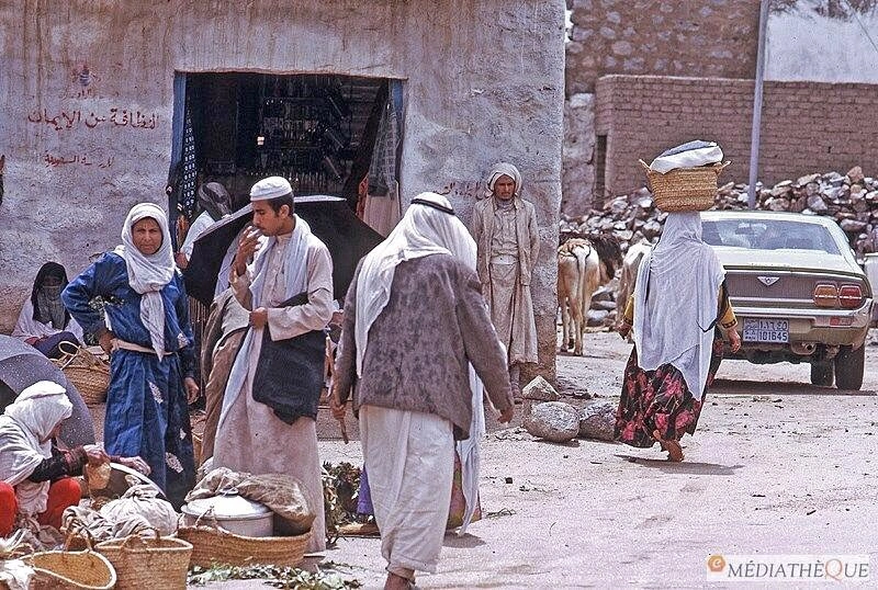 WhatsApp Image 2025-11-05 at 21.06.54.jpeg WhatsApp Image 2025-11-05 at 21.06.54.jpeg