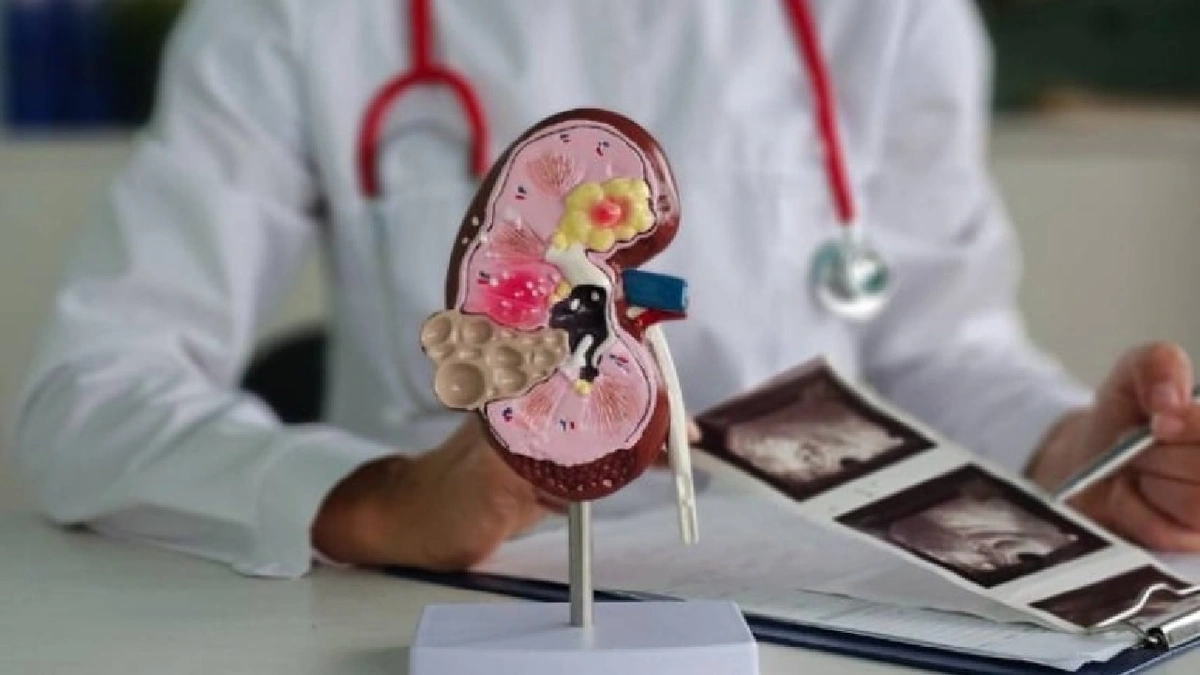 WhatsApp Image 2025-11-06 at 4.33.45 PM.jpeg WhatsApp Image 2025-11-06 at 4.33.45 PM.jpeg