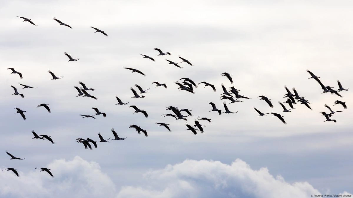 WhatsApp Image 2025-11-06 at 7.44.32 PM (1).jpeg WhatsApp Image 2025-11-06 at 7.44.32 PM (1).jpeg