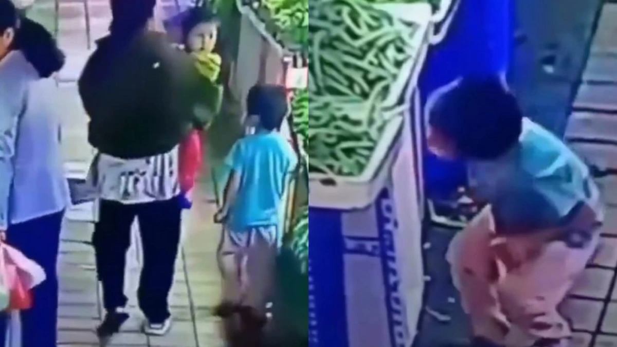 WhatsApp Image 2025-11-07 at 10.42.18 PM.jpeg WhatsApp Image 2025-11-07 at 10.42.18 PM.jpeg