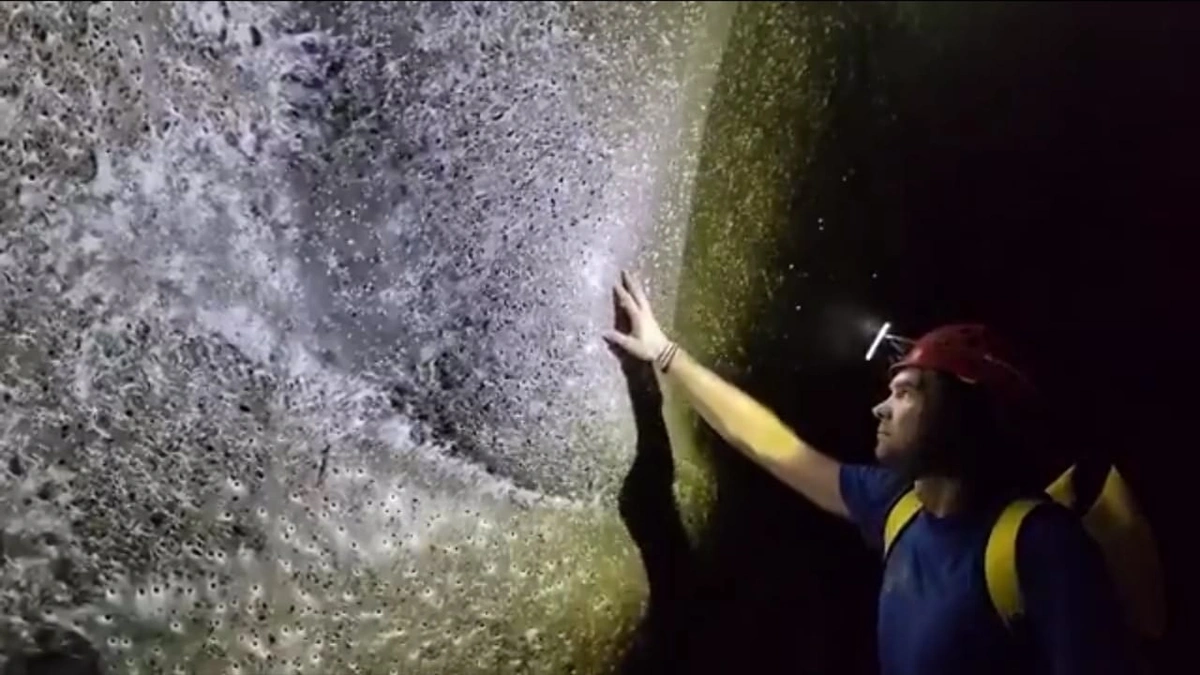 WhatsApp Image 2025-11-07 at 11.02.36 PM.jpeg WhatsApp Image 2025-11-07 at 11.02.36 PM.jpeg