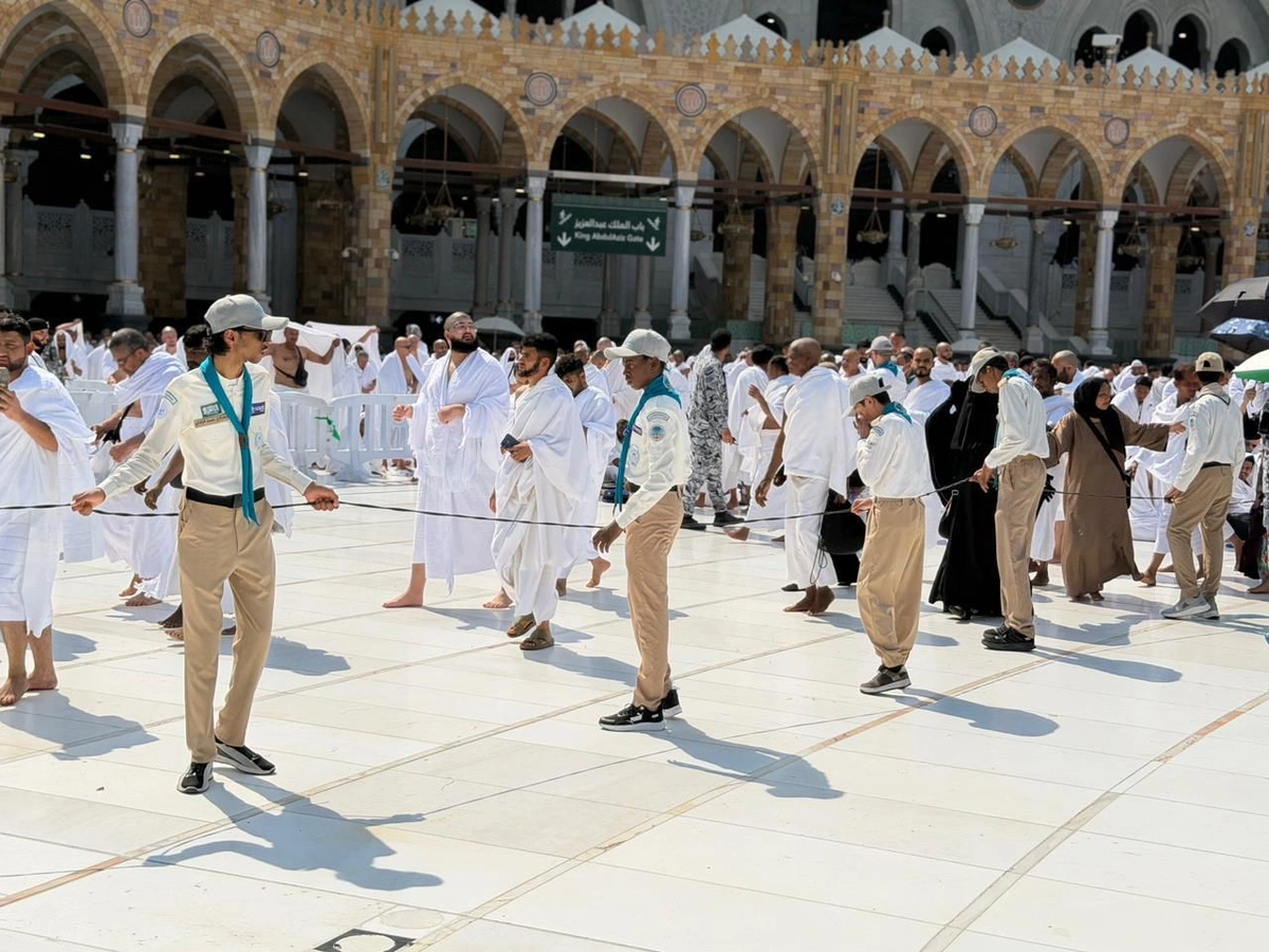 نننننن نننننن