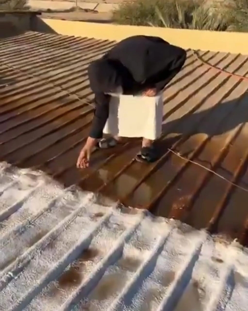 WhatsApp Image 2025-11-07 at 15.35.56.jpeg