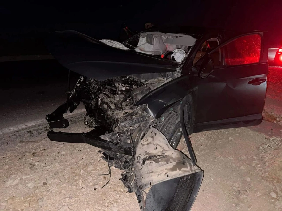 WhatsApp Image 2025-11-07 at 17.08.38.jpeg WhatsApp Image 2025-11-07 at 17.08.38.jpeg