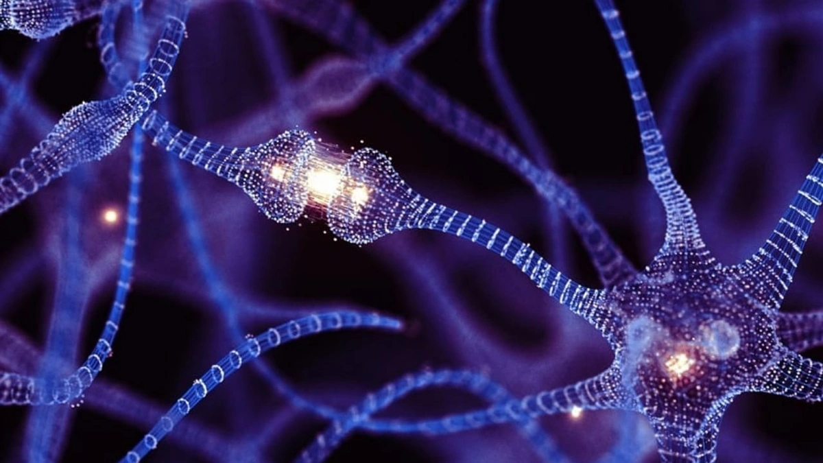 خريطة تفصيلية خريطة تفصيلية