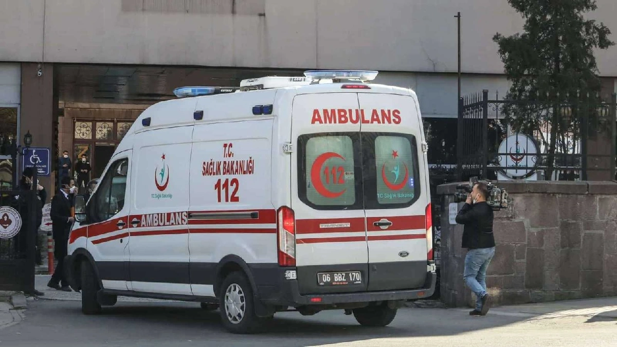 WhatsApp Image 2025-11-07 at 8.03.17 PM.jpeg WhatsApp Image 2025-11-07 at 8.03.17 PM.jpeg