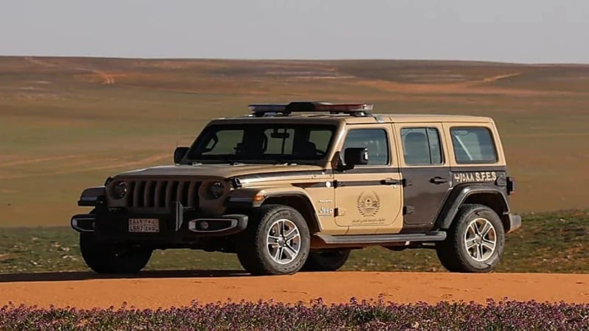 نظام البيئة، نظام البيئة،