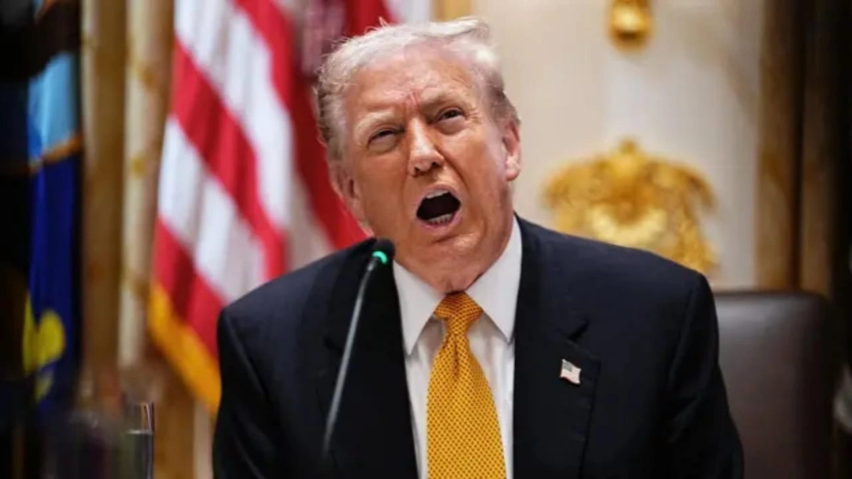 WhatsApp Image 2025-11-10 at 10.09.10 PM.jpeg WhatsApp Image 2025-11-10 at 10.09.10 PM.jpeg