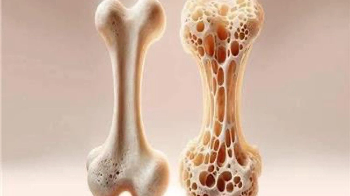 WhatsApp Image 2025-11-11 at 1.26.59 PM.jpeg WhatsApp Image 2025-11-11 at 1.26.59 PM.jpeg