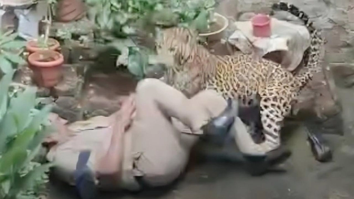 ااااا ااااا