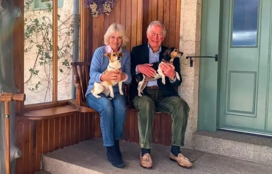 WhatsApp Image 2025-11-13 at 7.39.55 PM (1).jpeg