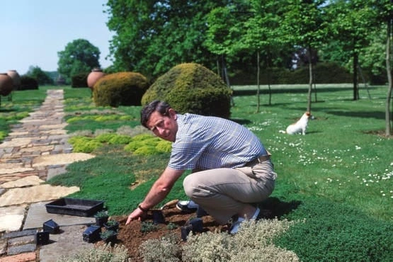 WhatsApp Image 2025-11-13 at 7.39.56 PM.jpeg