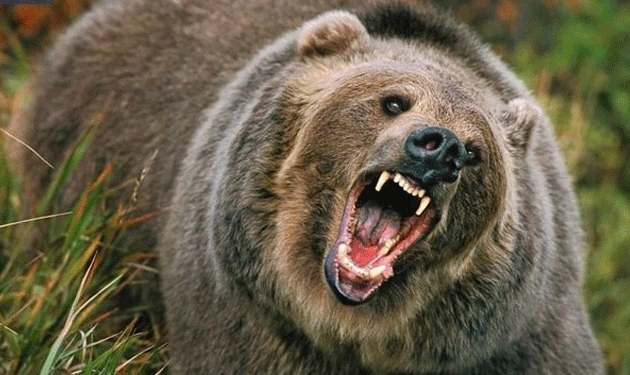 WhatsApp Image 2025-11-15 at 4.38.35 PM.jpeg WhatsApp Image 2025-11-15 at 4.38.35 PM.jpeg