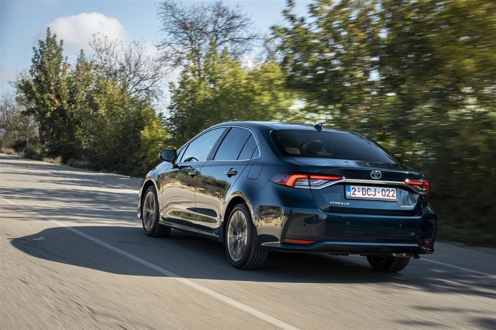 WhatsApp Image 2025-11-15 at 6.14.15 PM.jpeg WhatsApp Image 2025-11-15 at 6.14.15 PM.jpeg