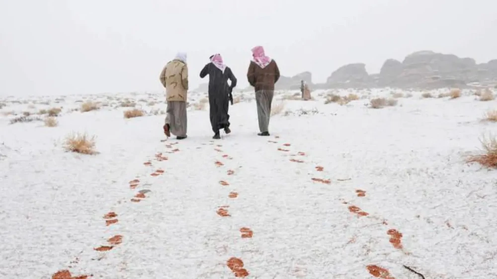 WhatsApp Image 2025-11-18 at 10.04.54 PM.jpeg