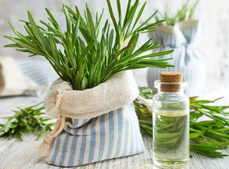 WhatsApp Image 2025-11-18 at 11.02.35 AM.jpeg WhatsApp Image 2025-11-18 at 11.02.35 AM.jpeg