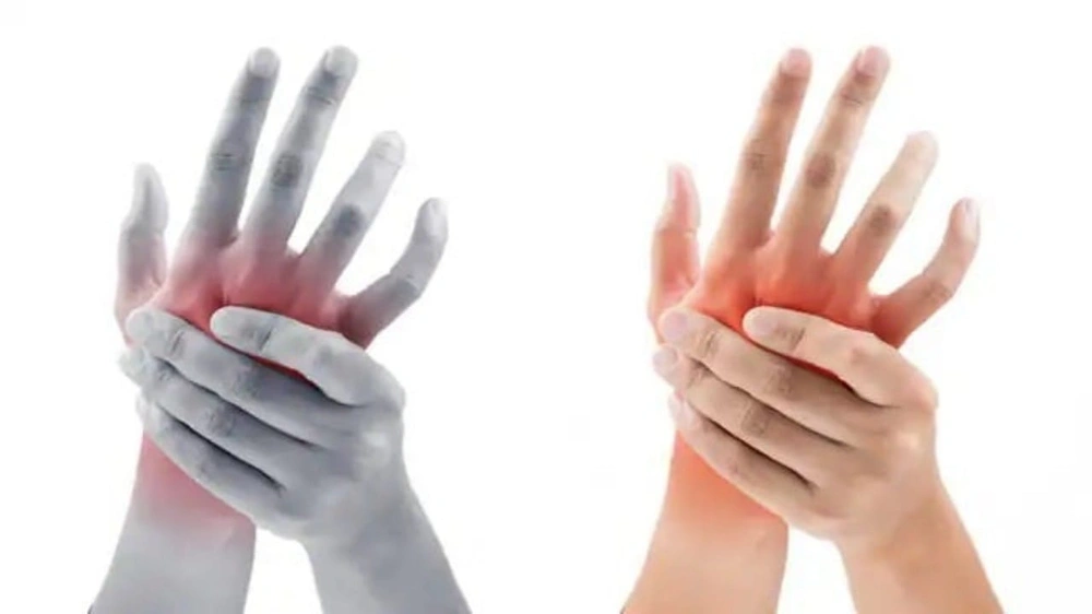 WhatsApp Image 2025-11-18 at 2.36.47 PM.jpeg